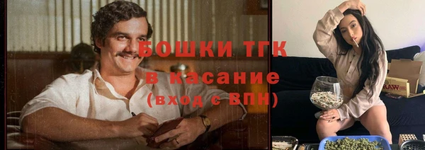 дмт Горняк