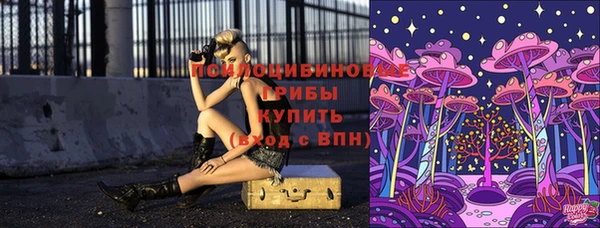дмт Горняк