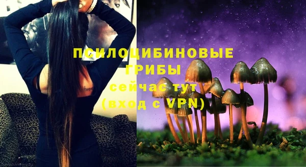дмт Горняк