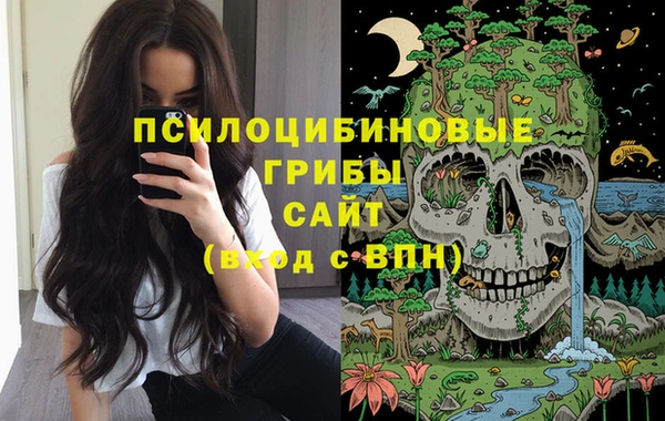 мескалин Горнозаводск