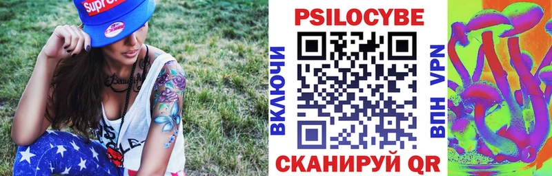 Псилоцибиновые грибы Psilocybe  Купить  Кунгур 